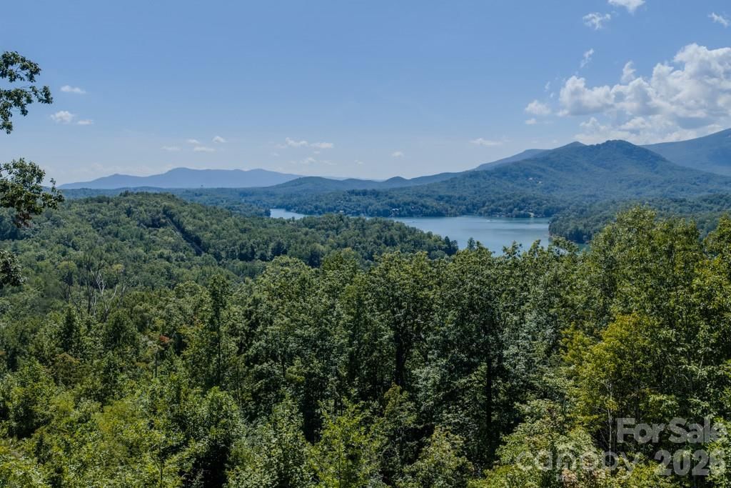 167 Hawks Nest Trail, Lake Lure, NC 28746 - Photo 3