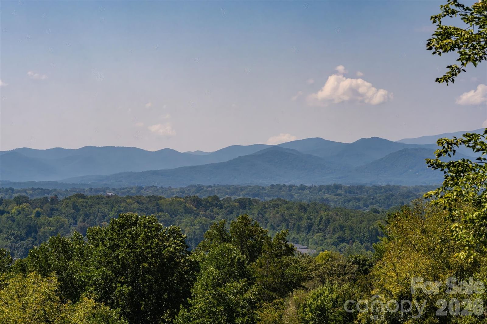 35 Elias Place, Asheville, NC 28804 - Photo 3