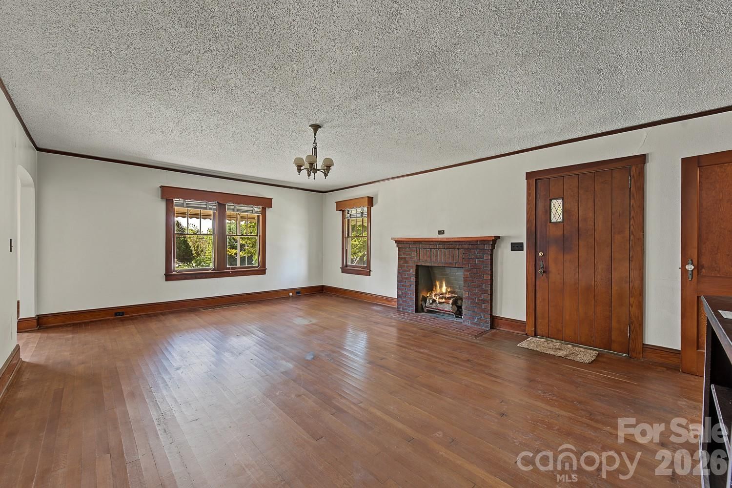 314 Trammell Avenue, Canton, NC 28716 - Photo 4