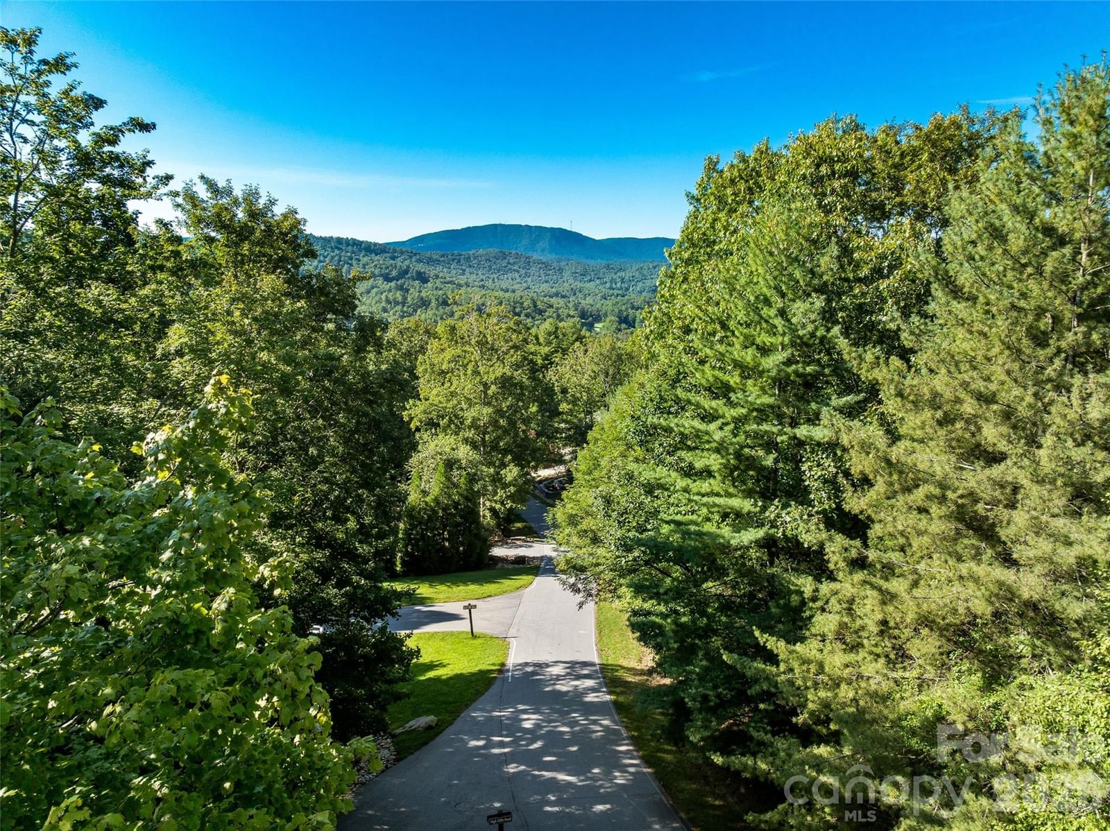 129 Falls Summit Road #385, Hendersonville, NC 28739 - Photo 2
