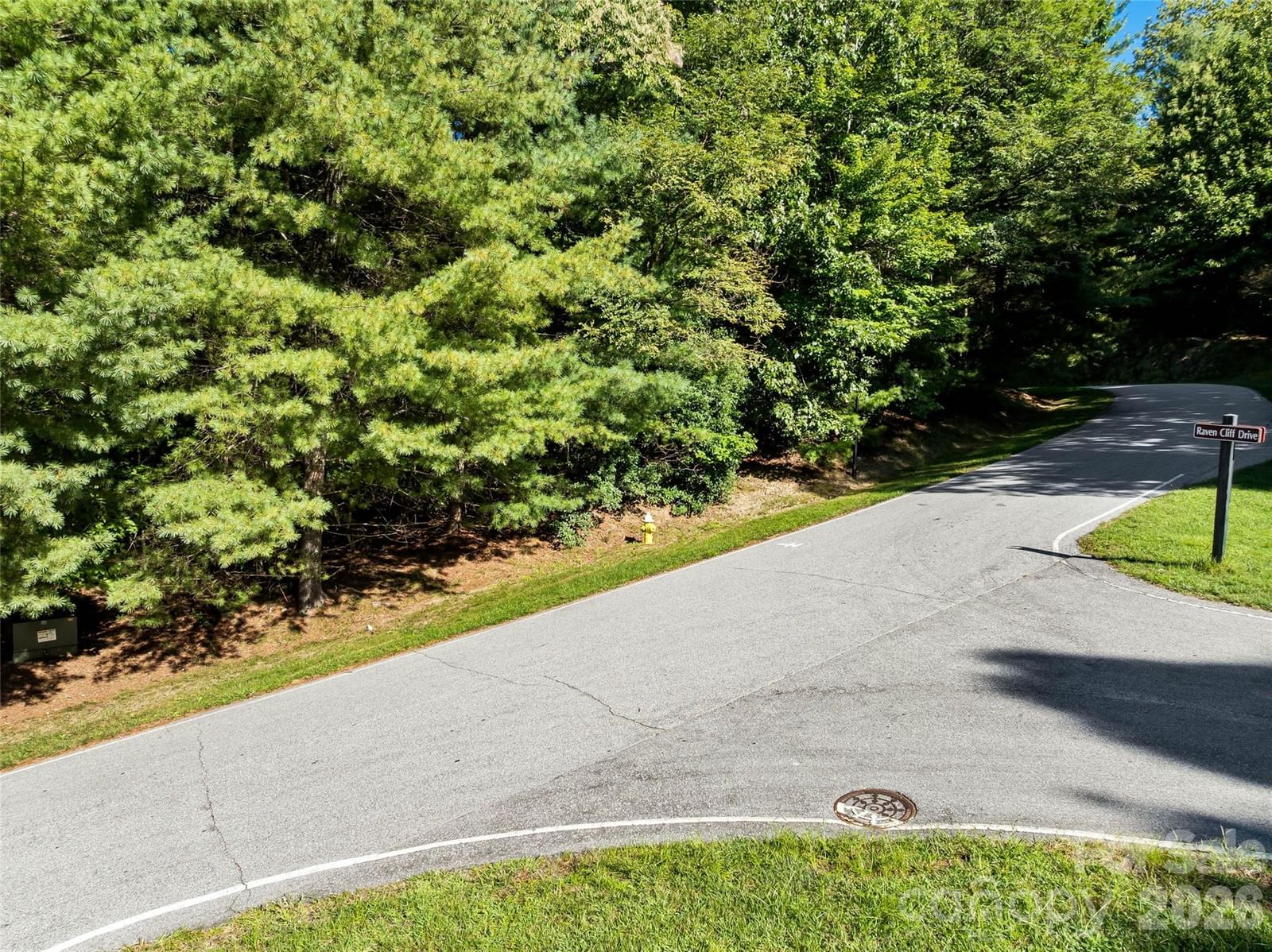 129 Falls Summit Road #385, Hendersonville, NC 28739 - Photo 3