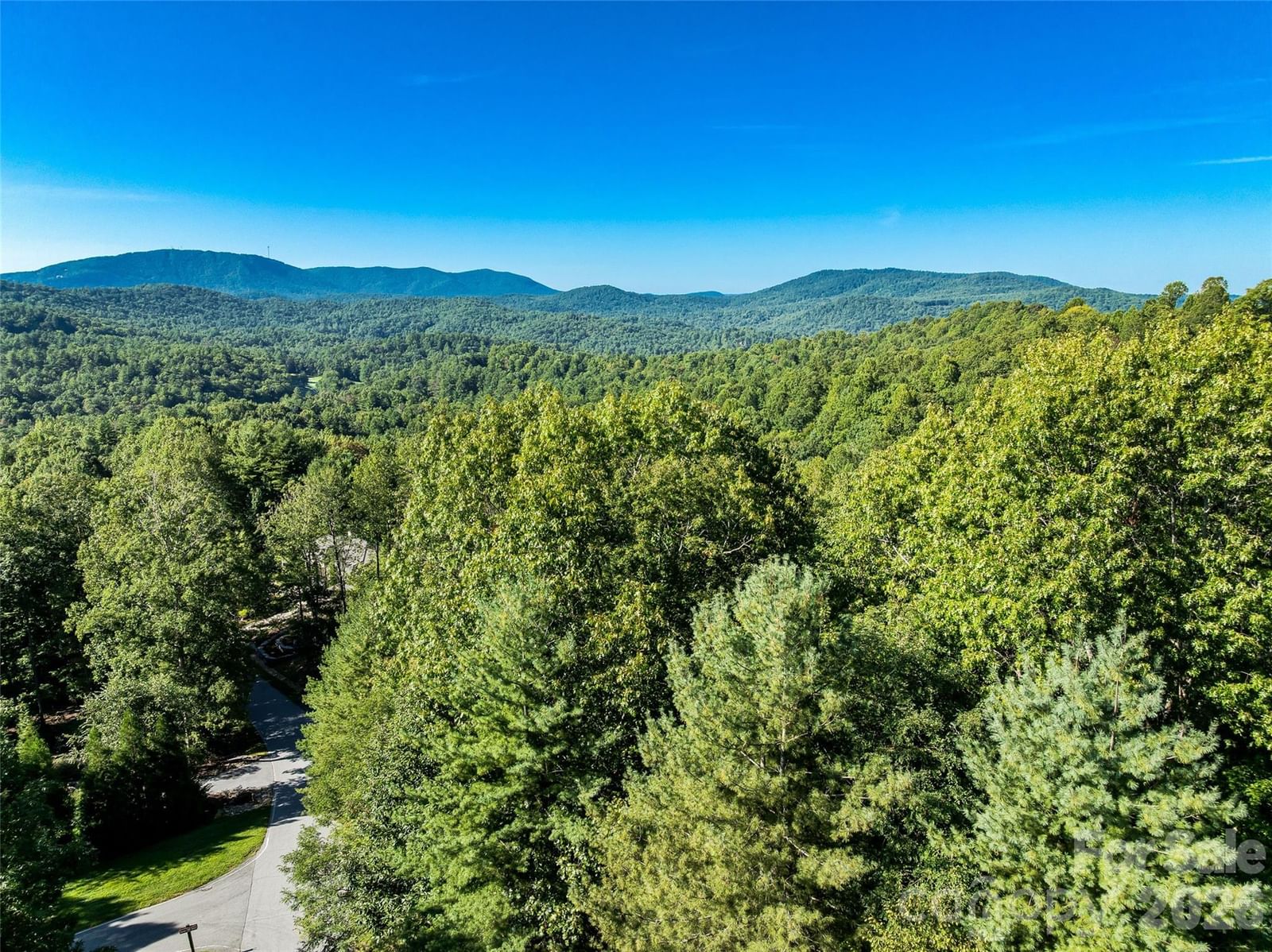 129 Falls Summit Road #385, Hendersonville, NC 28739 - Photo 5