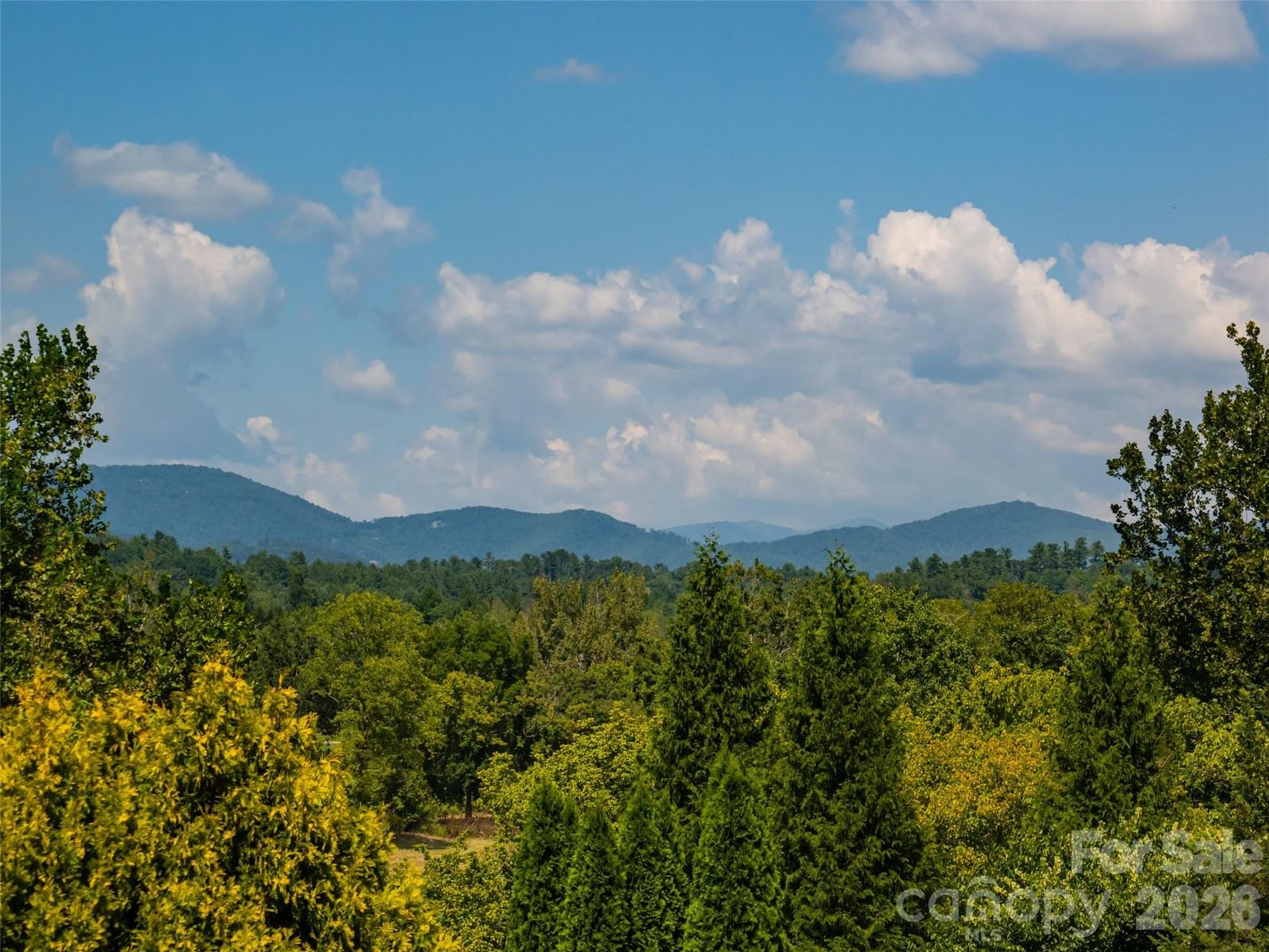 3 Blue Heron Drive, Fletcher, NC 28732 - Photo 2