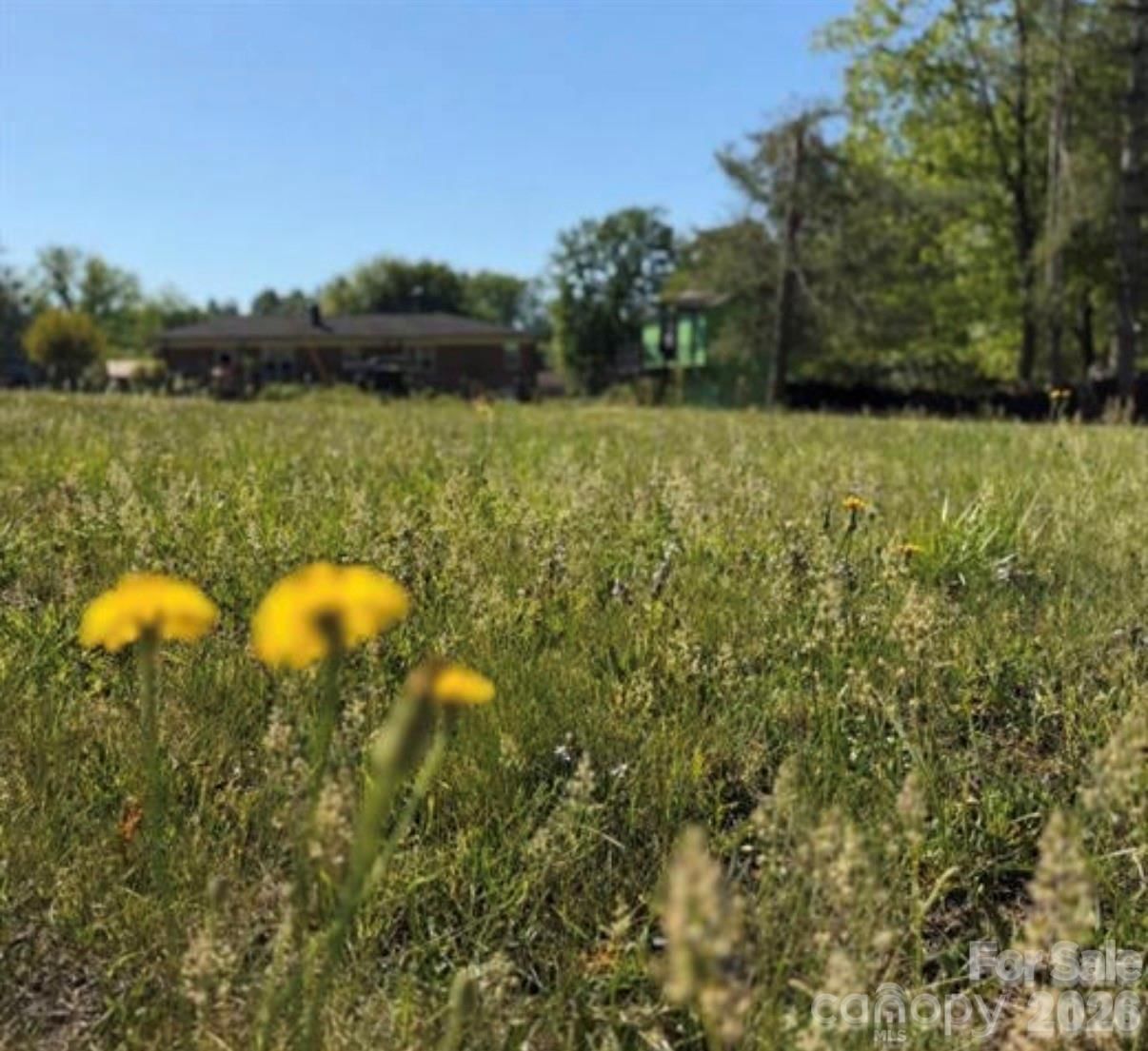 3162 Morganton Boulevard, Lenoir, NC 28645 - Photo 2