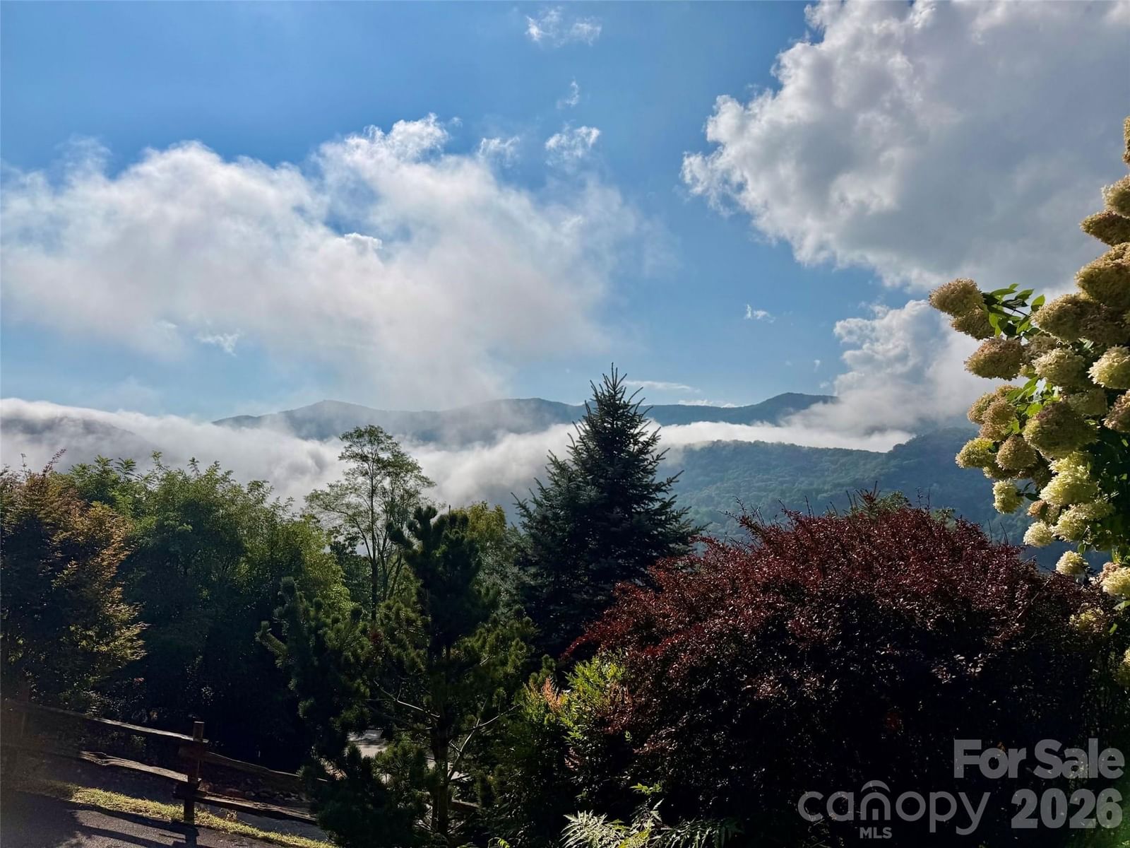 10 Cougar Lane, Maggie Valley, NC 28751 - Photo 3