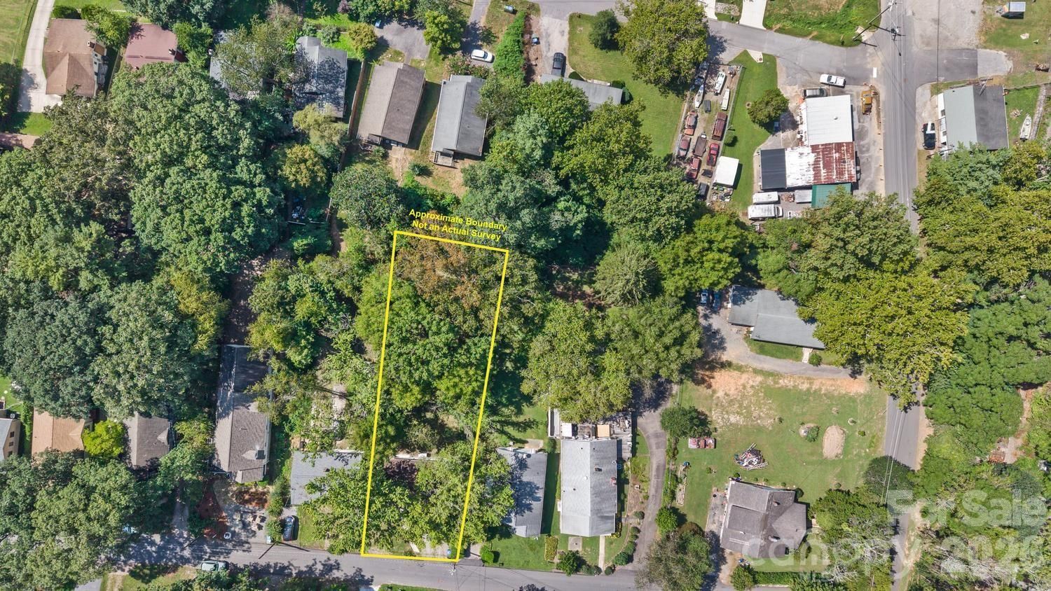 31 Wilmington Road, Asheville, NC 28803 - Photo 4