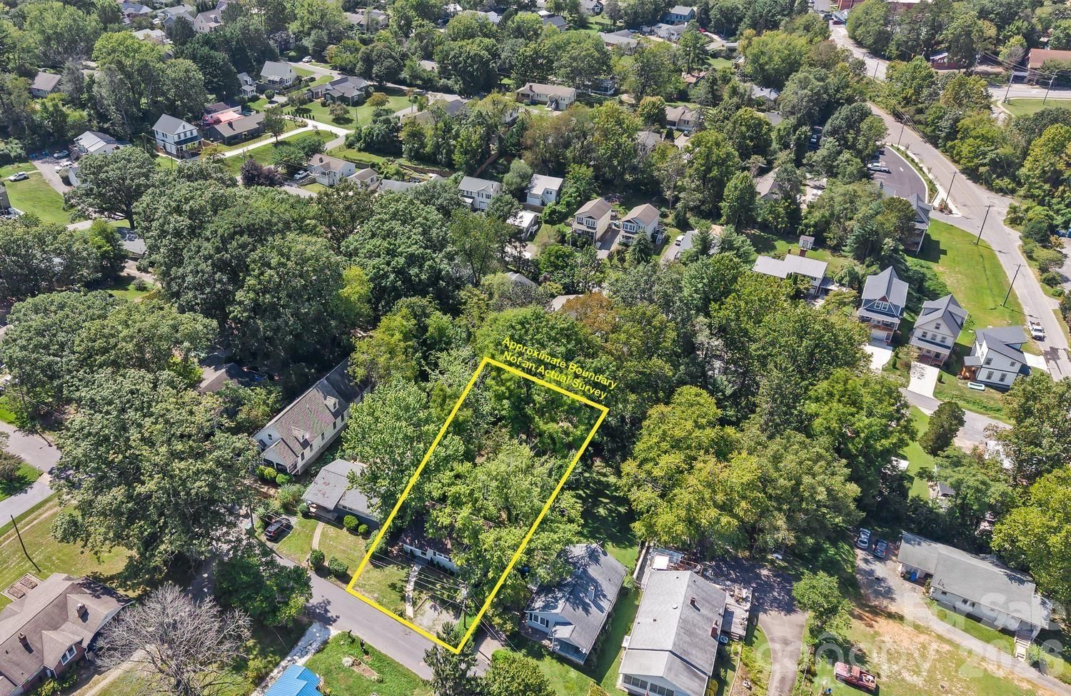 31 Wilmington Road, Asheville, NC 28803 - Photo 5
