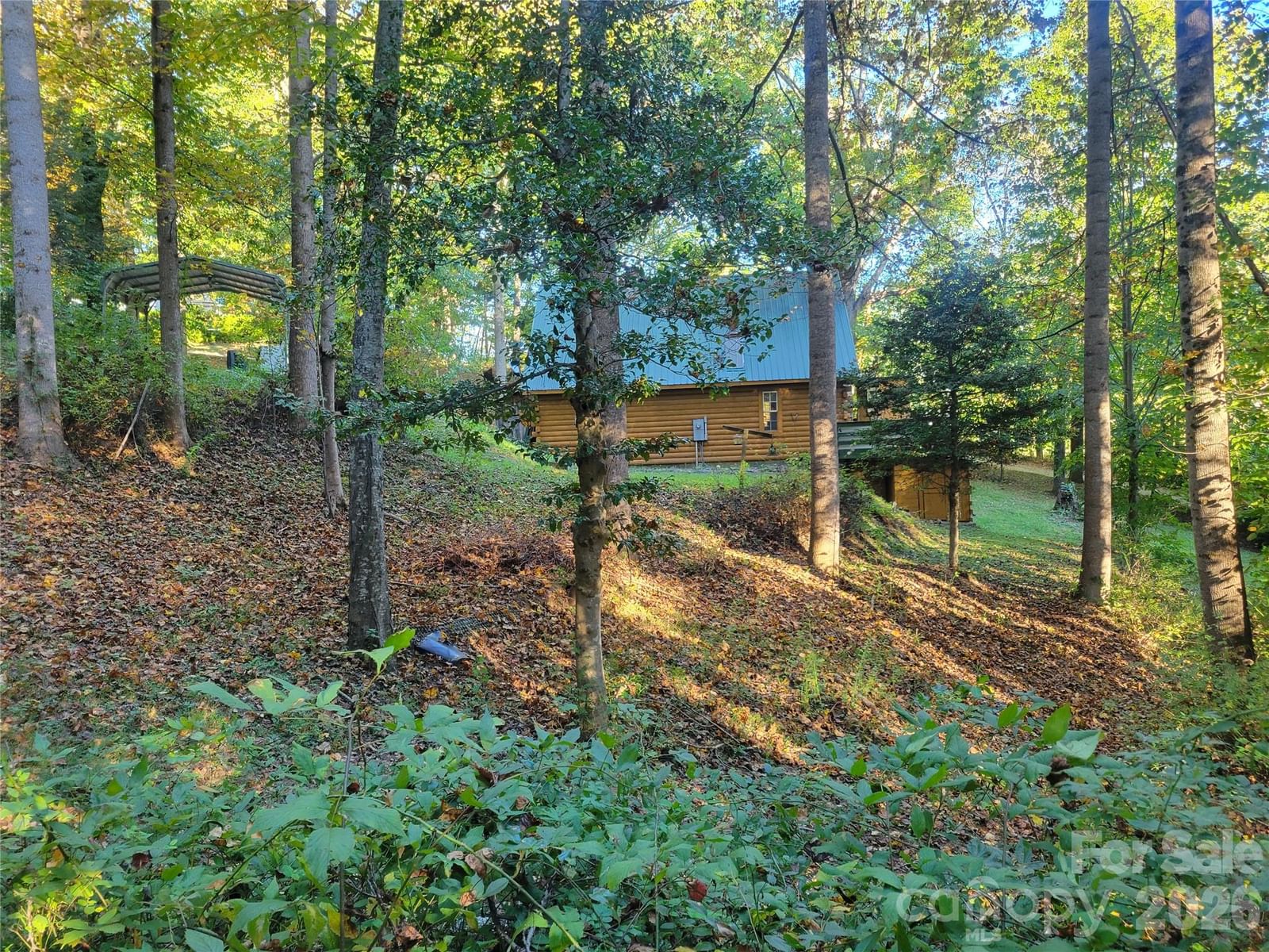 67 Mistletoe Ridge, Waynesville, NC 28786 - Photo 2