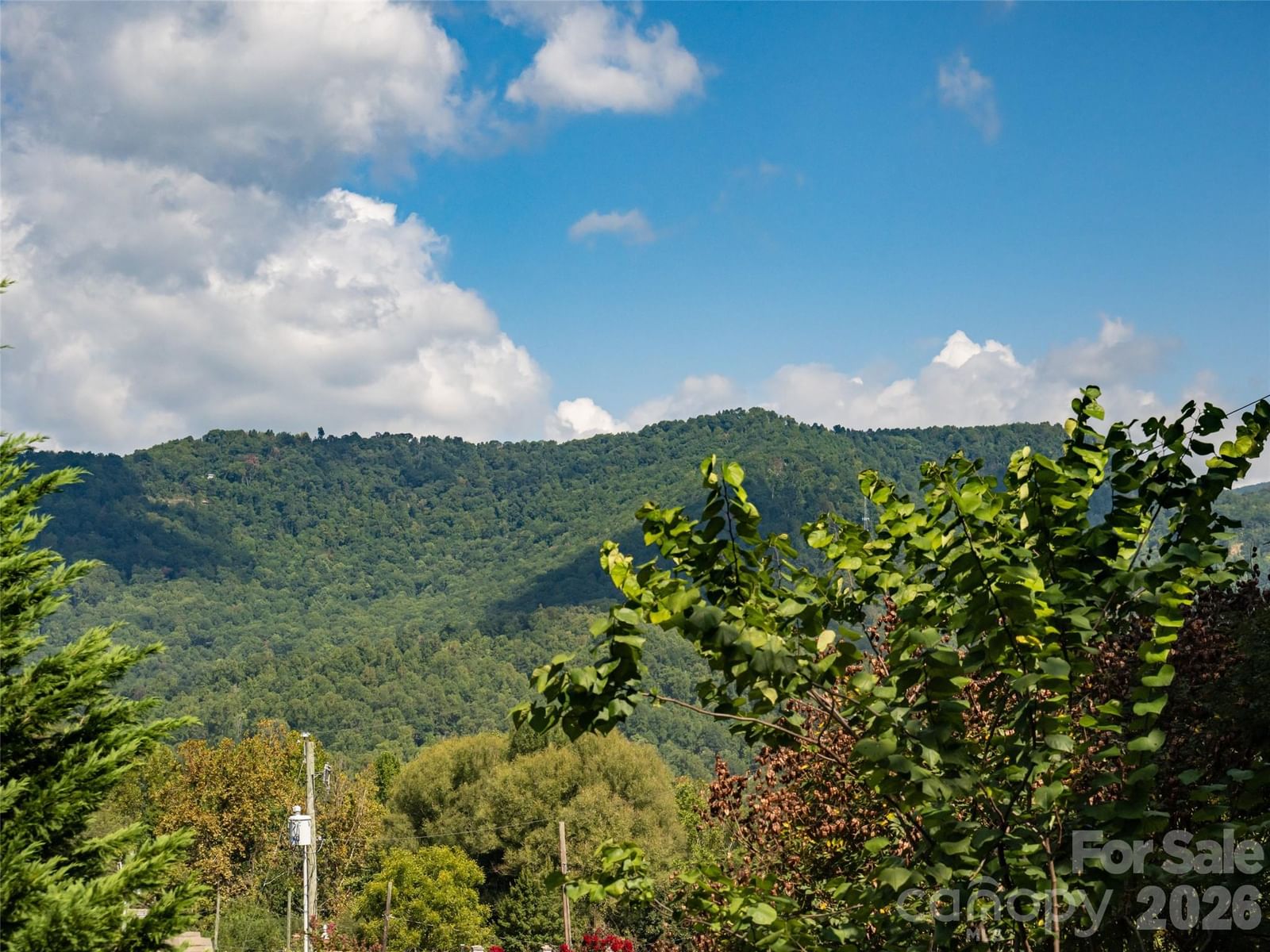 1 Half Moon Drive, Swannanoa, NC 28778 - Photo 2