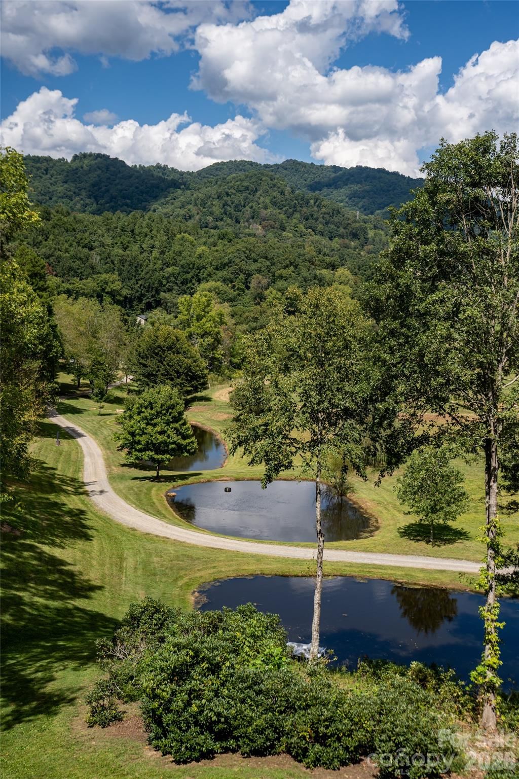538 Celebration Cove, Clyde, NC 28721 - Photo 2