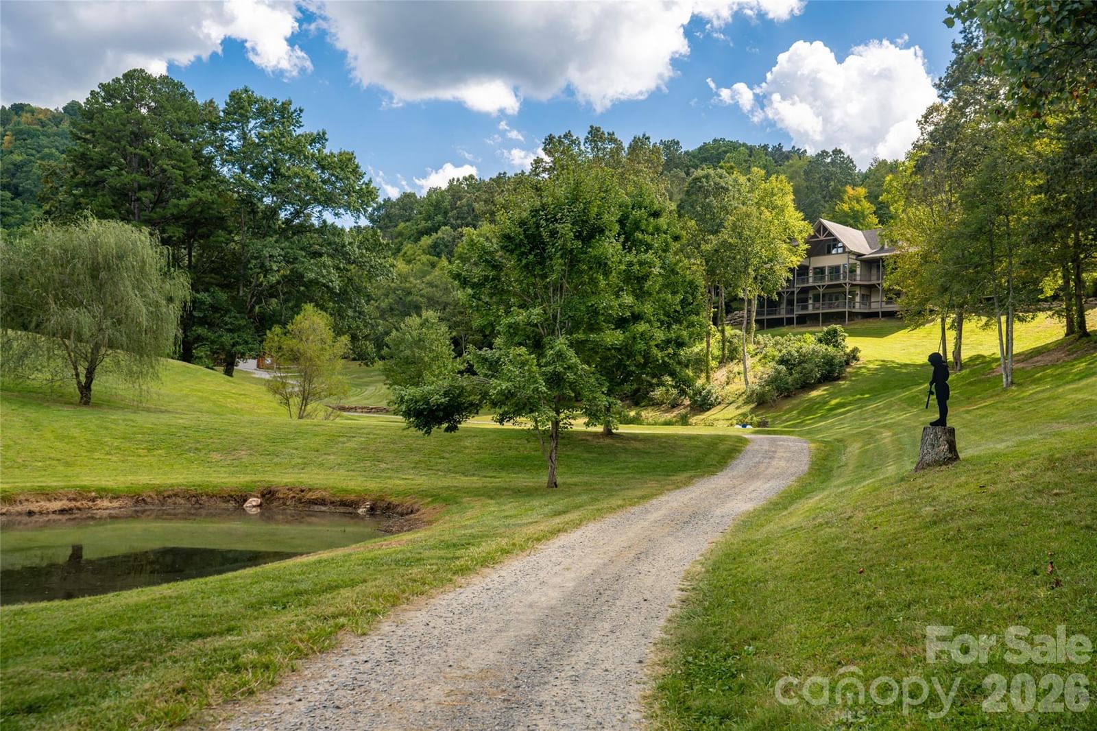 538 Celebration Cove, Clyde, NC 28721 - Photo 3
