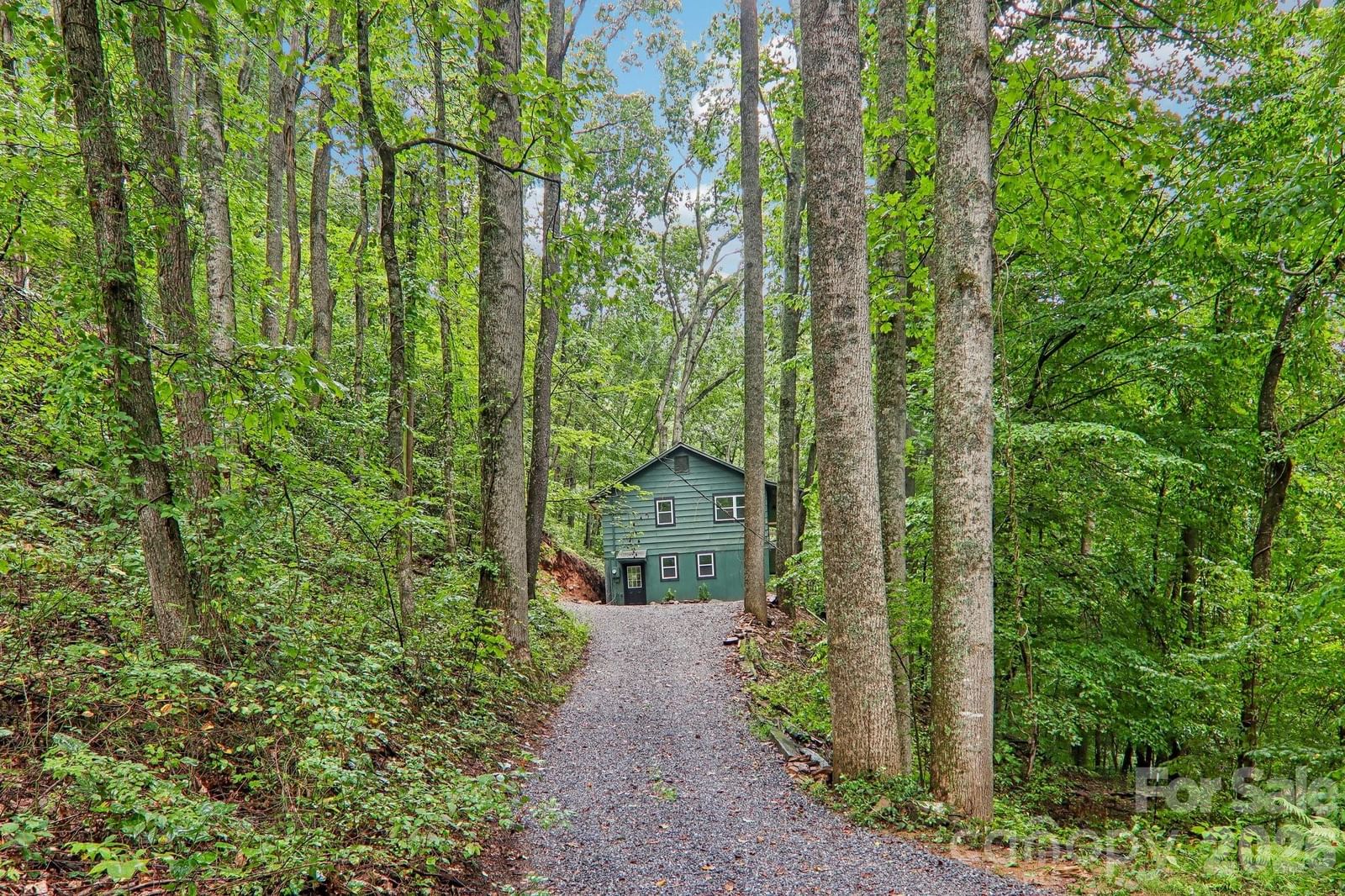 152 Dream Mountain Boulevard, Canton, NC 28716 - Photo 3
