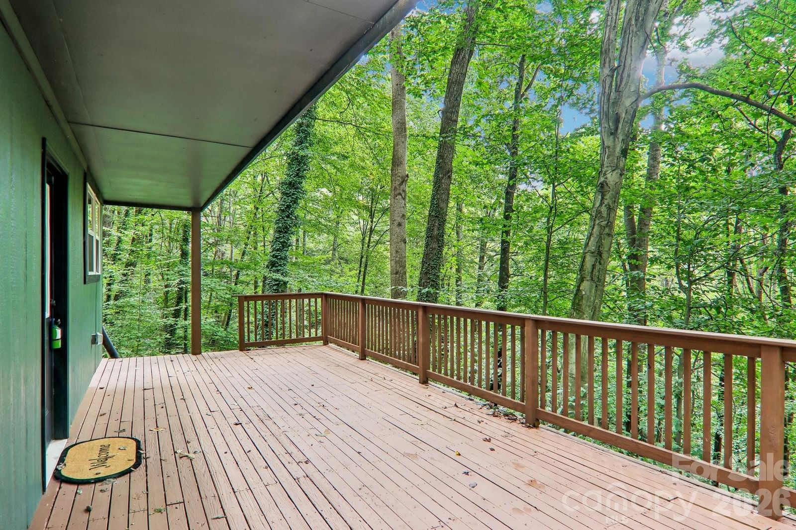 152 Dream Mountain Boulevard, Canton, NC 28716 - Photo 4