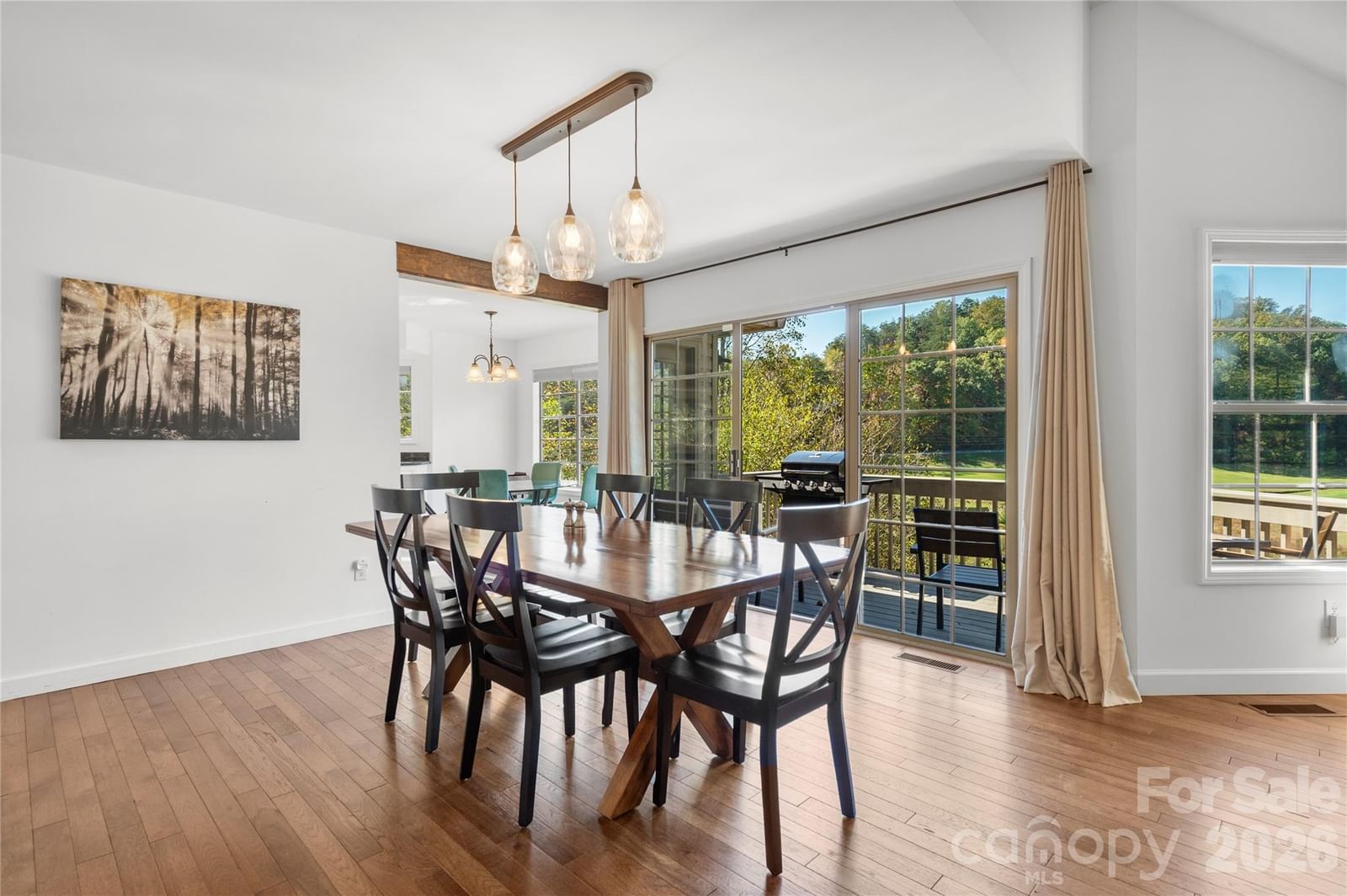 108 June Court, Lake Lure, NC 28746 - Photo 4
