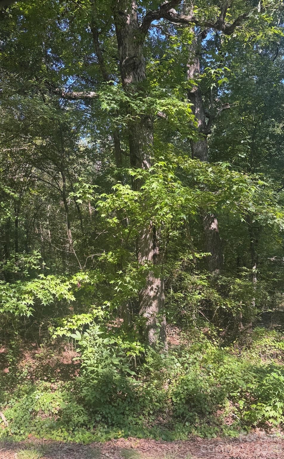 Property at 000 Sweet Home Church, Albemarle, NC 28001