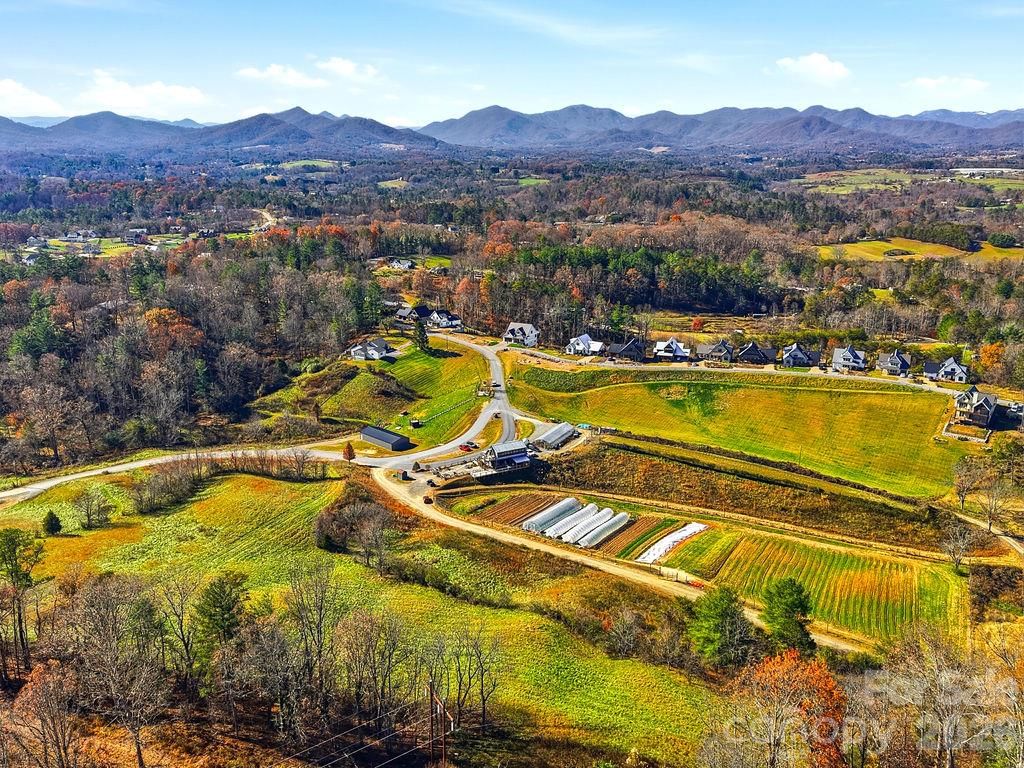 202 Westridge Farm Road, Asheville, NC 28804 - Photo 3