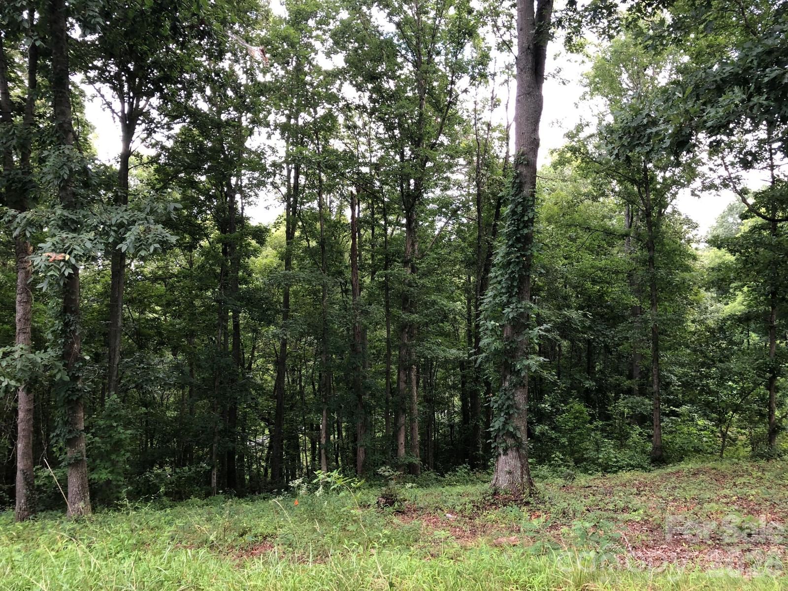 45 Sweet Fern Parkway #43, Asheville, NC 28804
