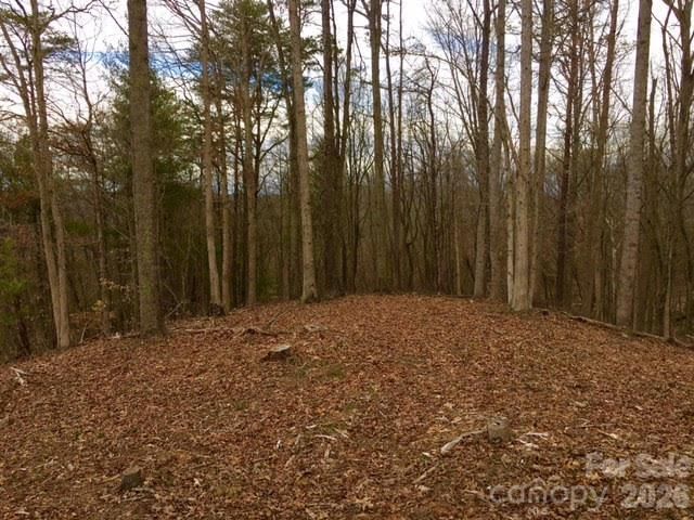 45 Sweet Fern Parkway #43, Asheville, NC 28804 - Photo 3