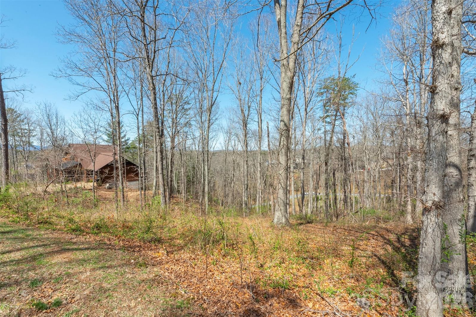 45 Sweet Fern Parkway #43, Asheville, NC 28804 - Photo 4