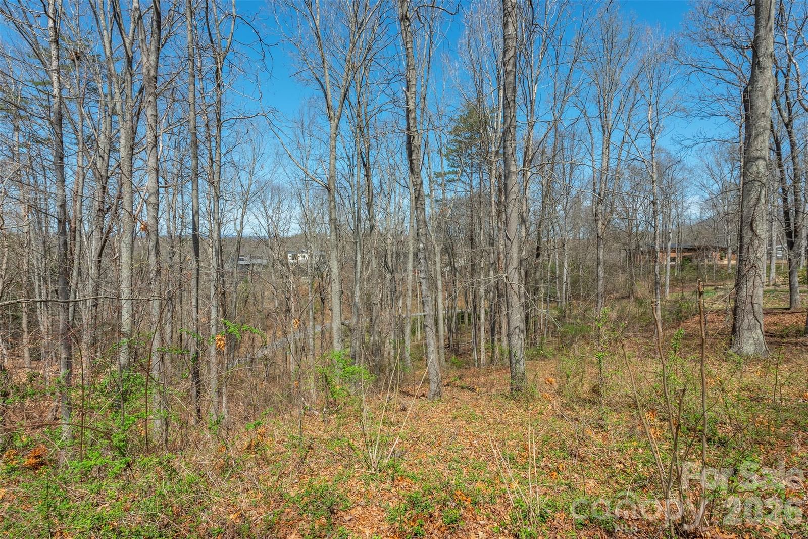 45 Sweet Fern Parkway #43, Asheville, NC 28804 - Photo 5