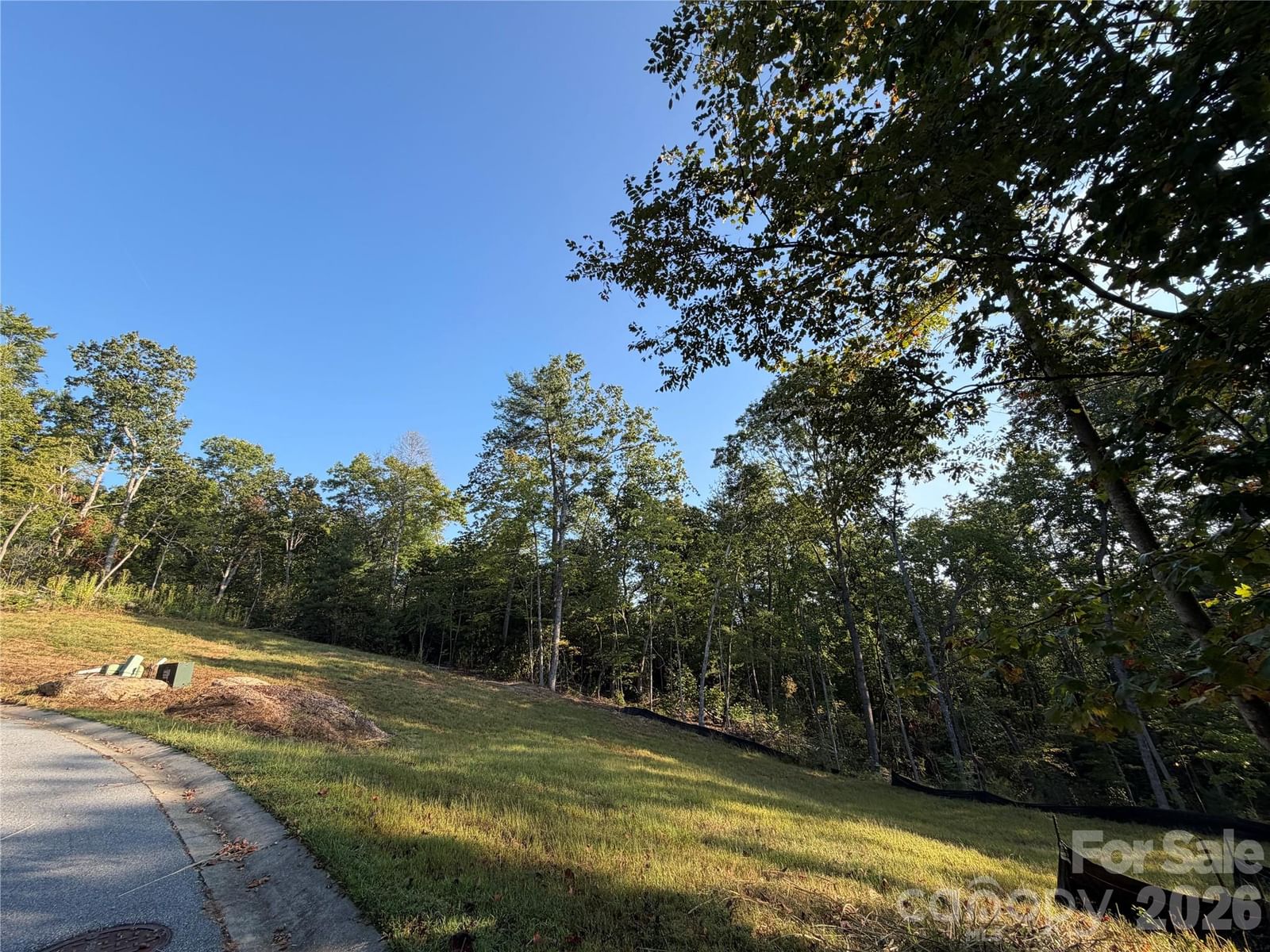 123 & 131 High Fields Court, Hendersonville, NC 28791 - Photo 2