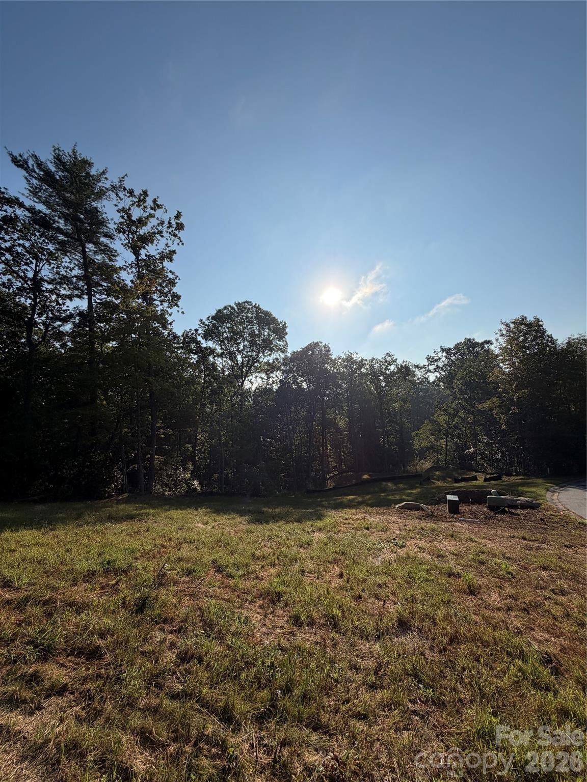 123 & 131 High Fields Court, Hendersonville, NC 28791 - Photo 5