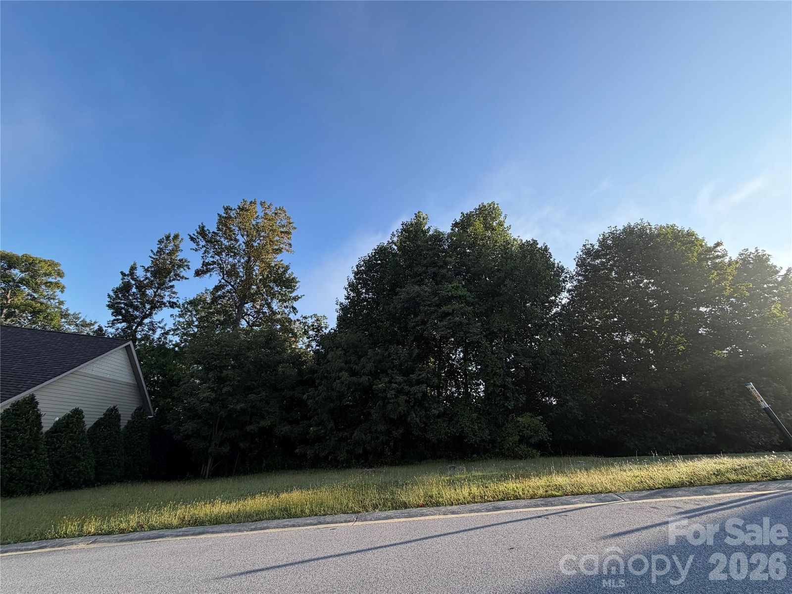 42 Deep Valley Lane, Hendersonville, NC 28791 - Photo 2