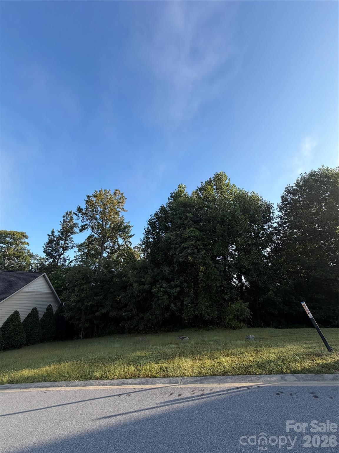 42 Deep Valley Lane, Hendersonville, NC 28791 - Photo 3