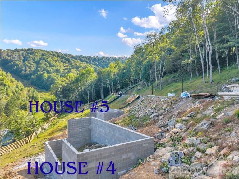 117 Snowcloud Drive, Seven Devils, NC 28604 - Photo 2