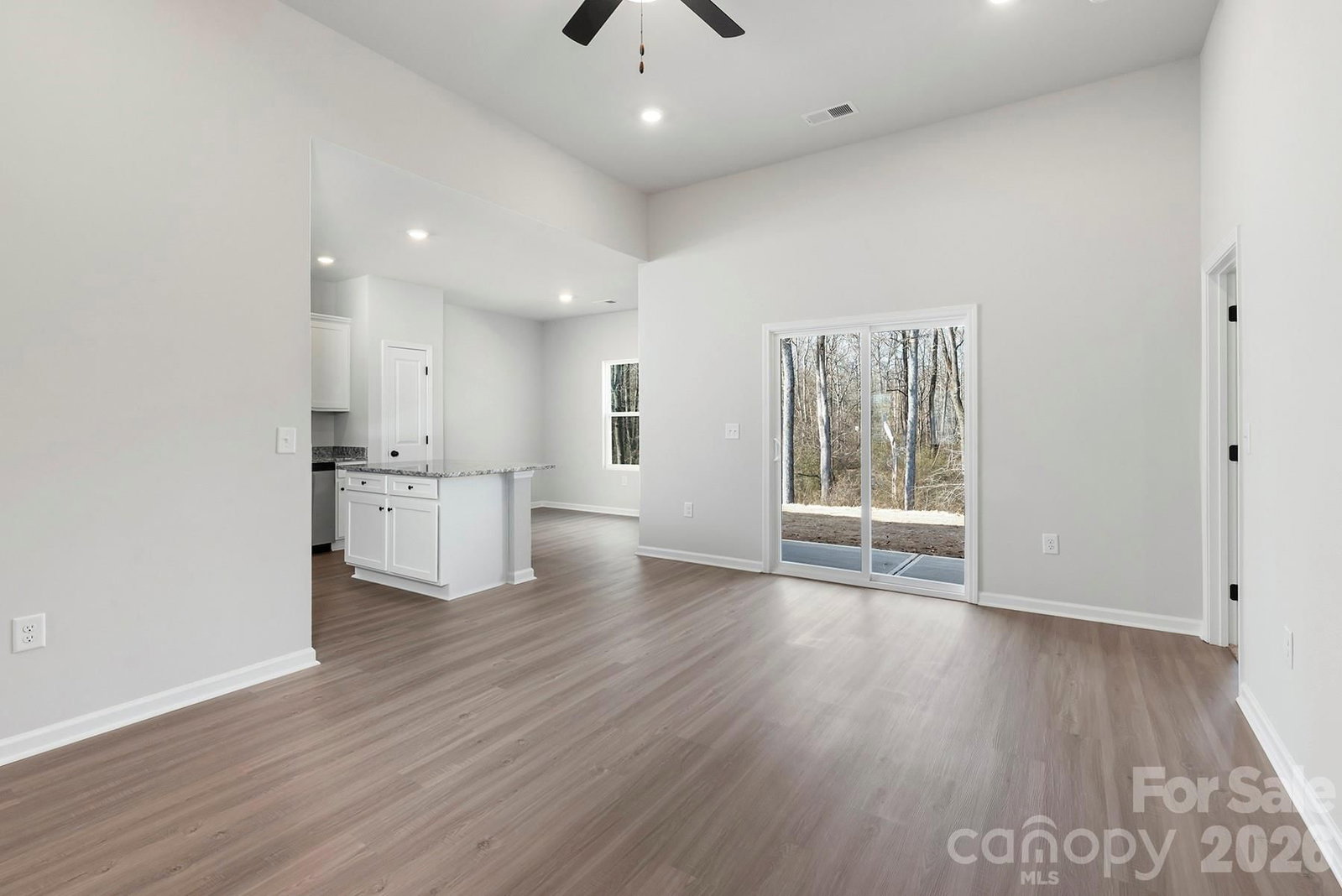 1103 Elyan Street, Richburg, SC 29729 - Photo 3
