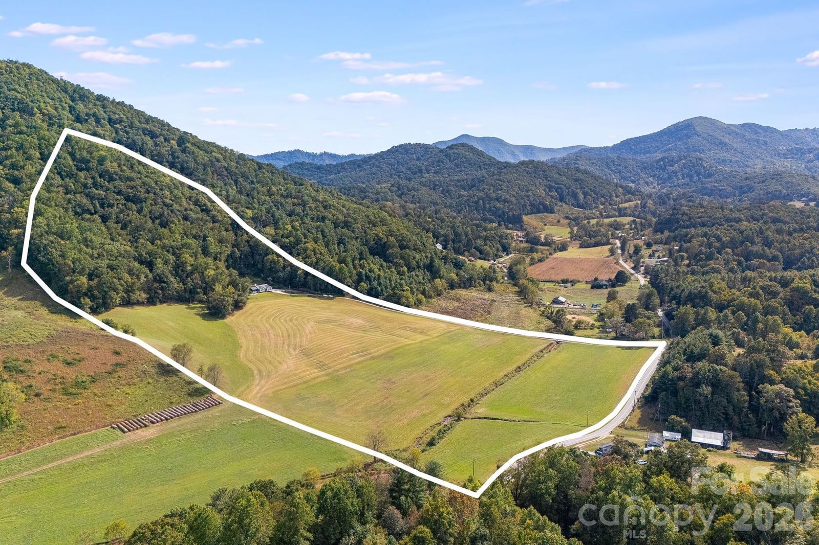 422 Turkey Creek Road, Leicester, NC 28748 - Photo 4