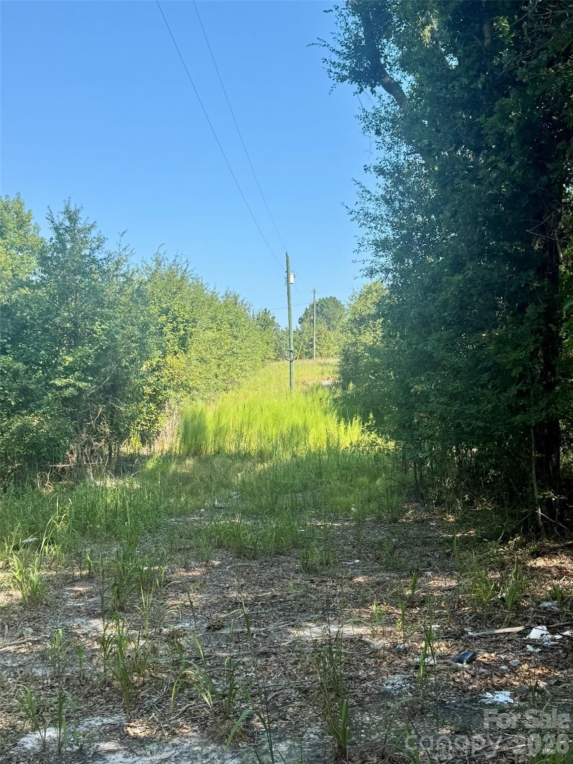 Property at 0000 Newman Lane, Jefferson, SC 29718