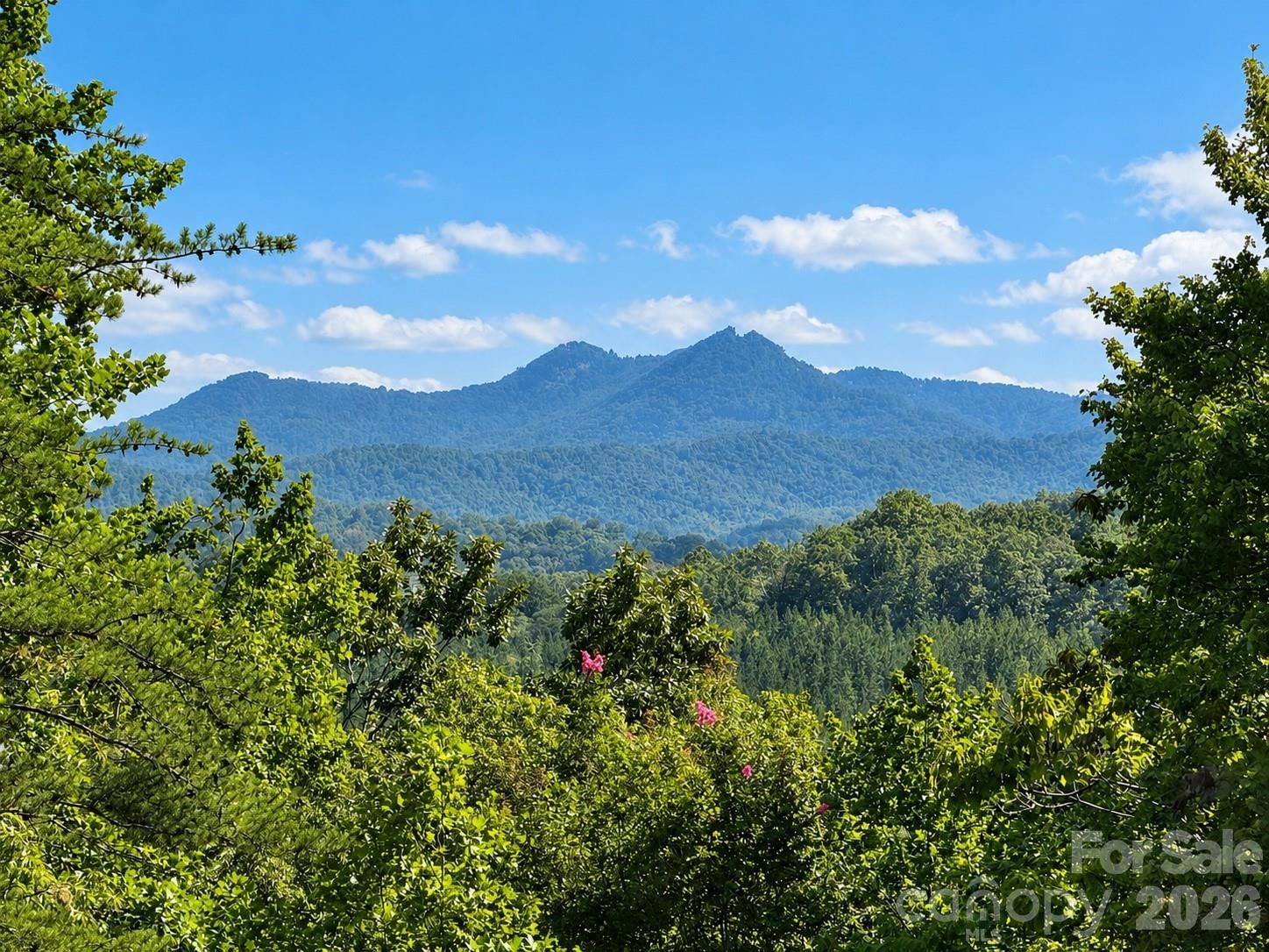 715 Boland Drive, Lake Lure, NC 28746 - Photo 2