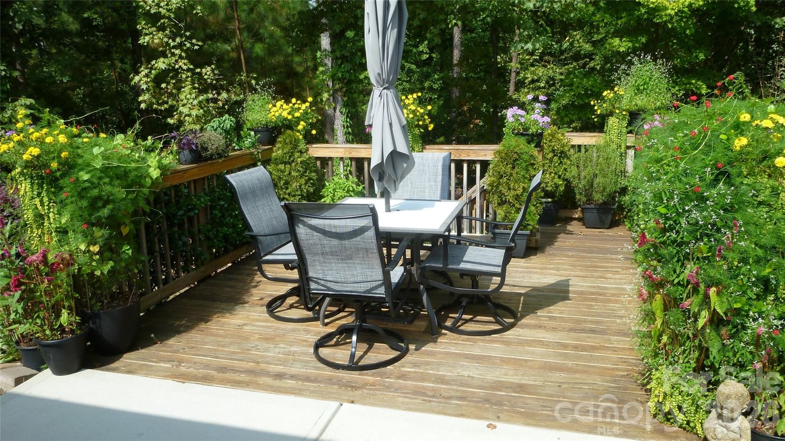 519 Sandbar Point, Clover, SC 29710 - Photo 3