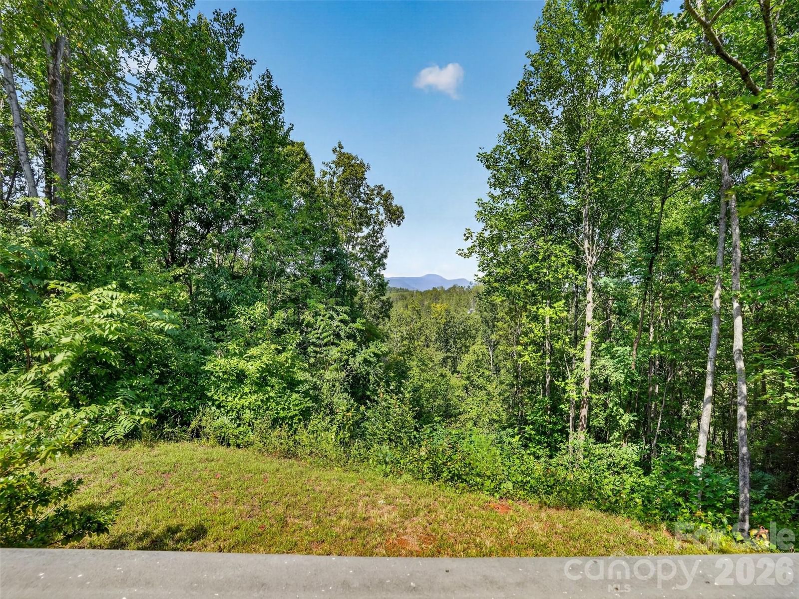 484 Briar Patch Lane, Saluda, NC 28773 - Photo 2