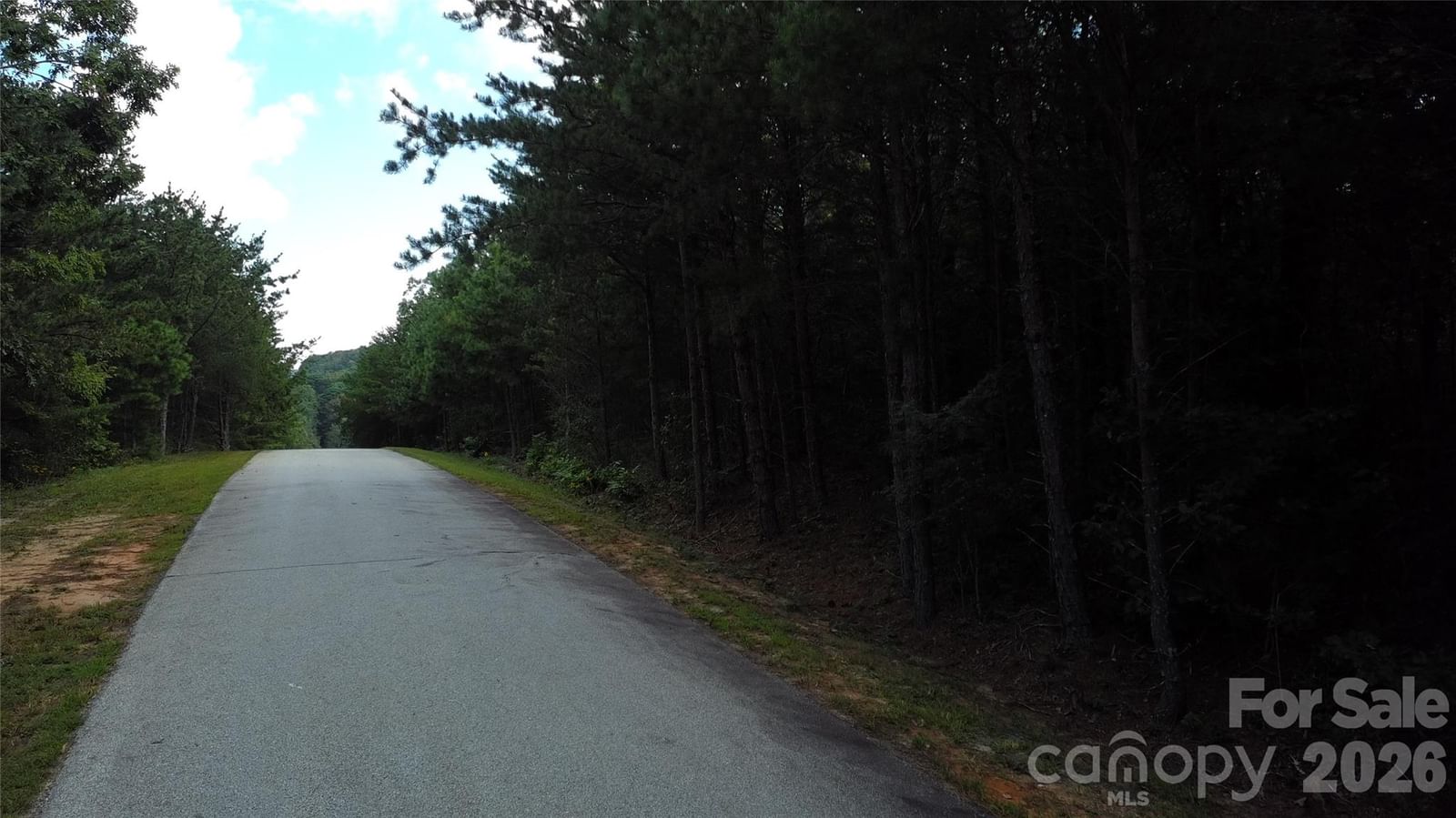 275 Kincaid Place #275, Mill Spring, NC 28756 - Photo 2