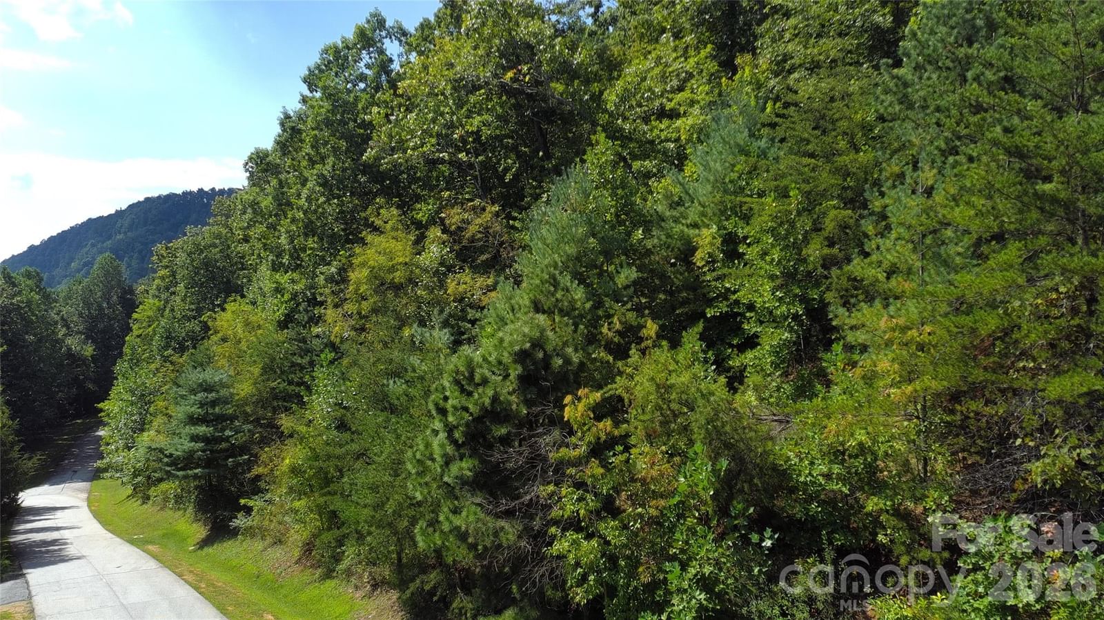 275 Kincaid Place #275, Mill Spring, NC 28756 - Photo 3