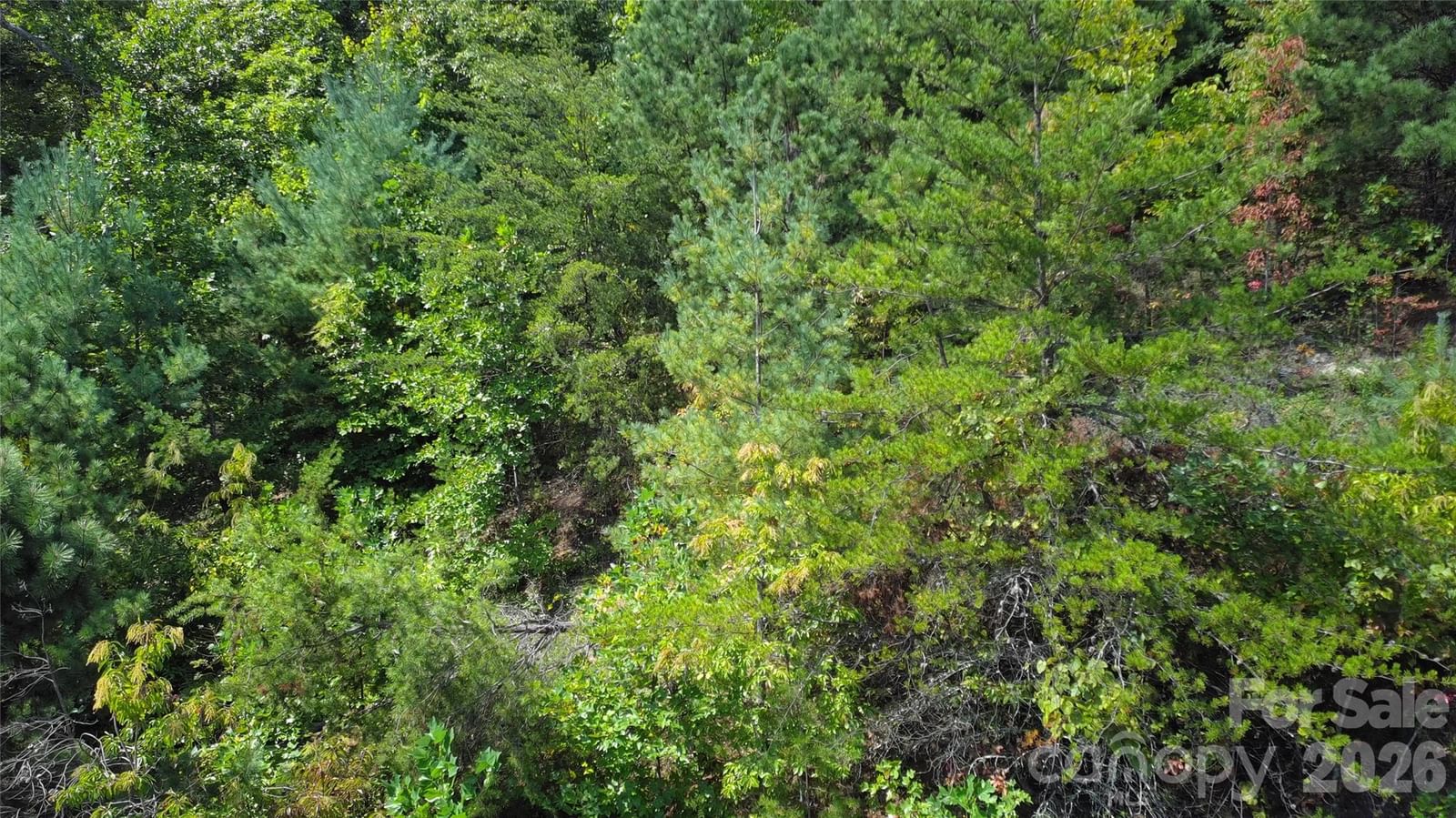 275 Kincaid Place #275, Mill Spring, NC 28756 - Photo 4