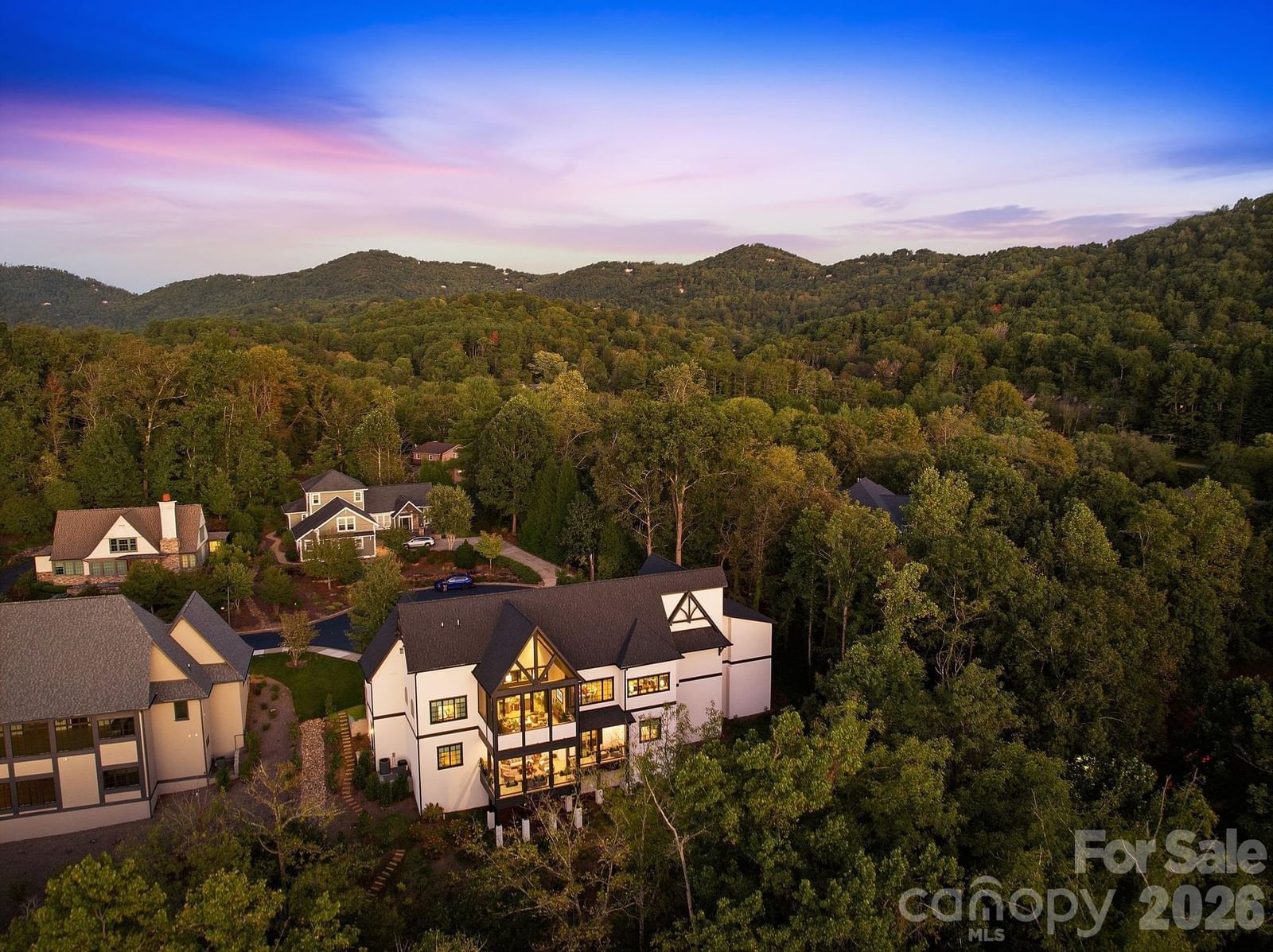 21 Evian Court, Asheville, NC 28804 - Photo 4