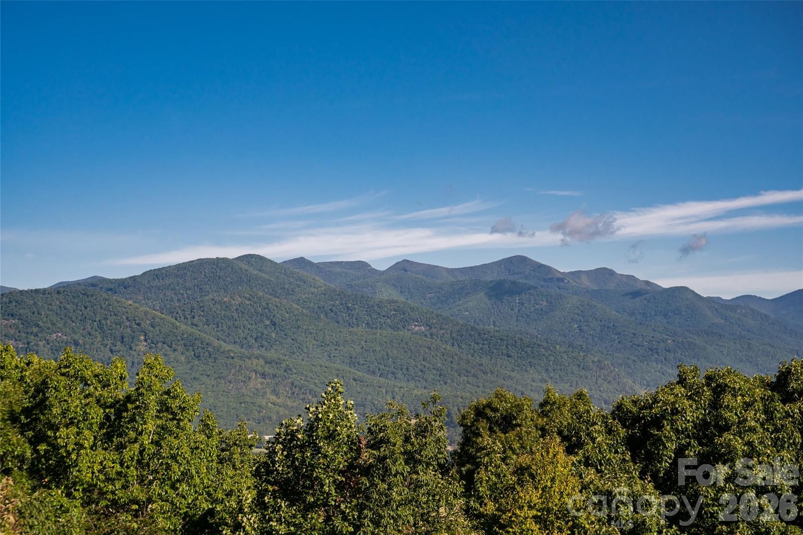 126 Wildflower Cove Drive, Swannanoa, NC 28778 - Photo 5