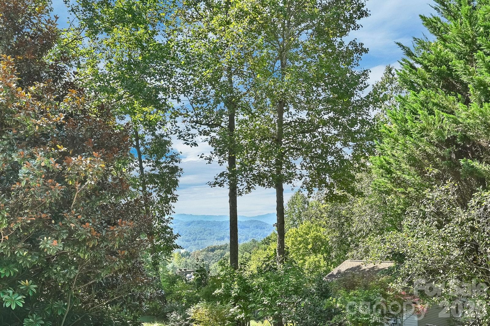 4311 Cove Loop Road, Hendersonville, NC 28739 - Photo 4