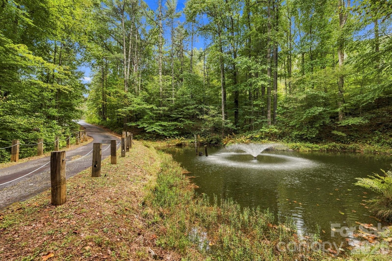 1079 Dupont Road, Hendersonville, NC 28739 - Photo 5