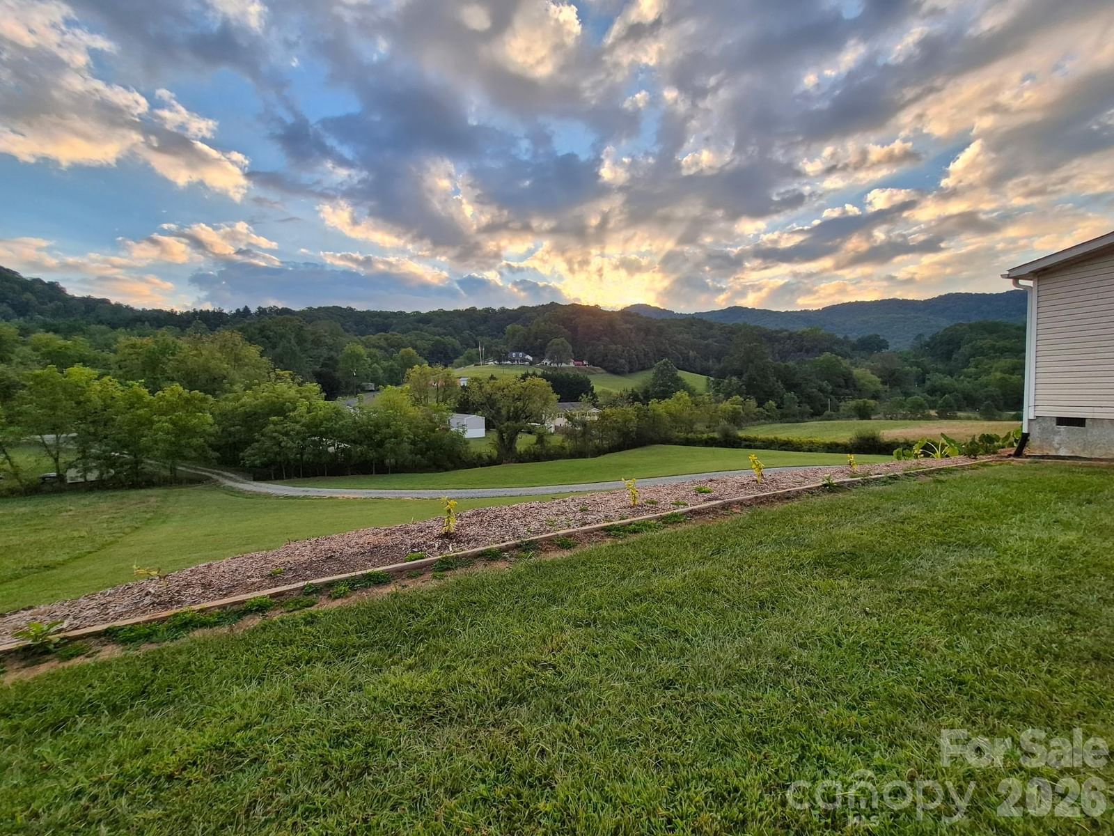 245 Potato Branch Road, Leicester, NC 28748 - Photo 3