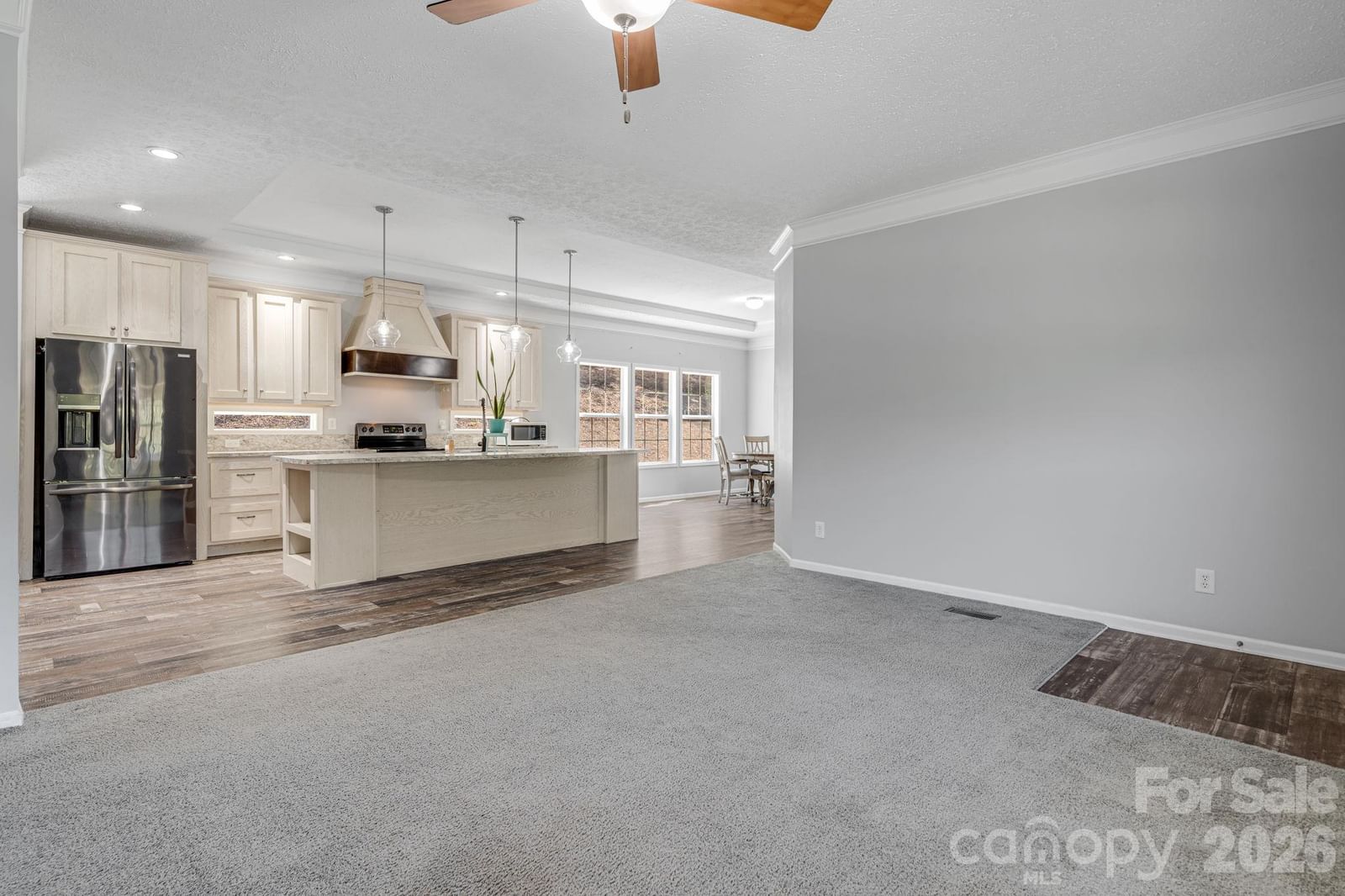 245 Potato Branch Road, Leicester, NC 28748 - Photo 5