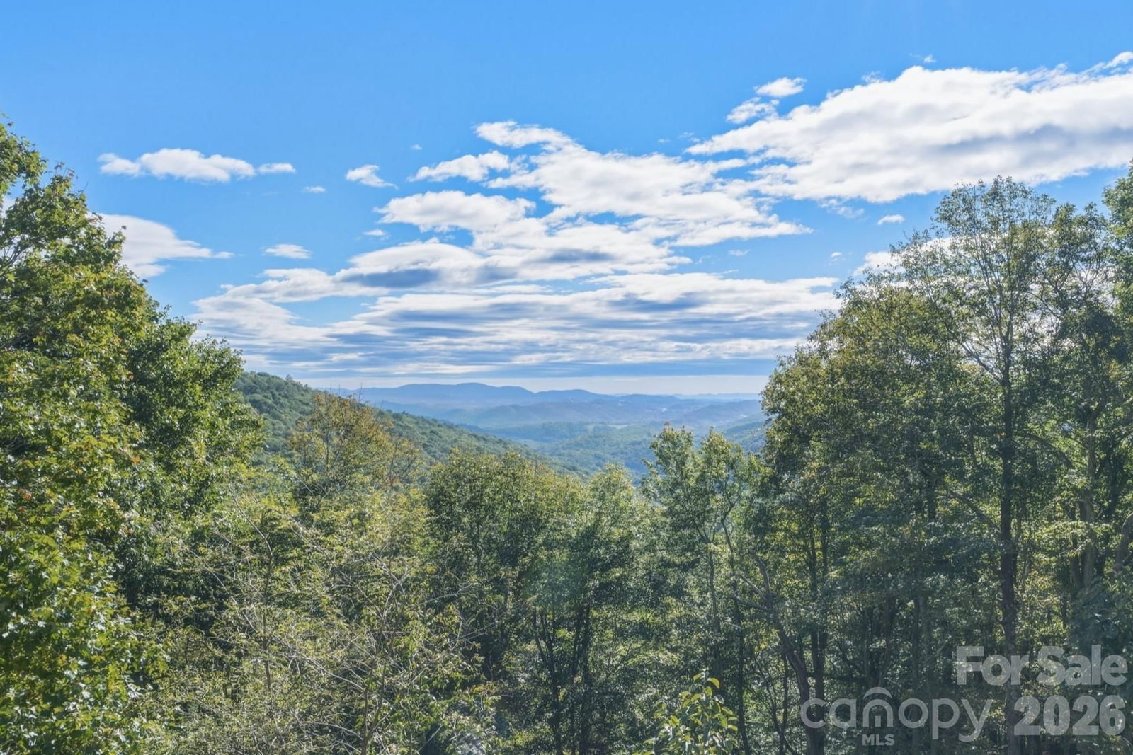 148 Sunny Chestnut Forest None, Boone, NC 28607 - Photo 2