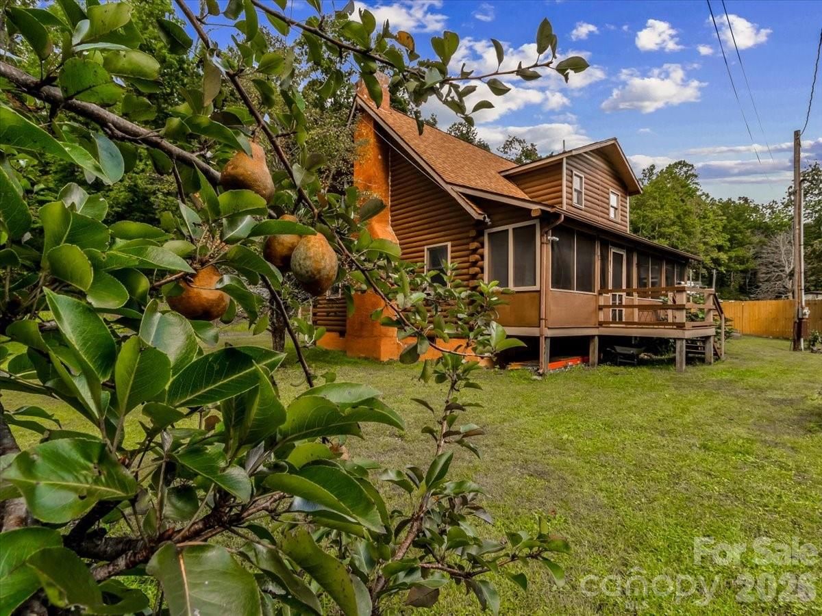 3206 Fork Mountain Road, Bakersville, NC 28705 - Photo 3