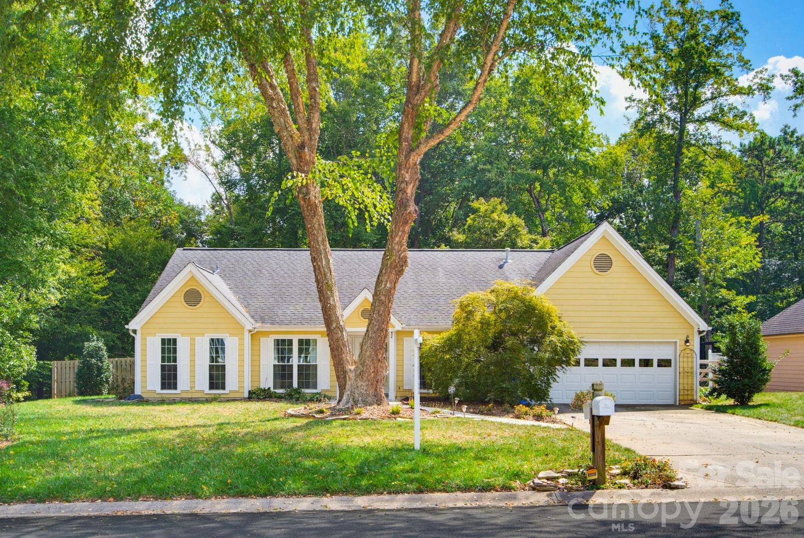 6609 Paul Schadt Lane, Mint Hill, NC 28227 - Photo 3