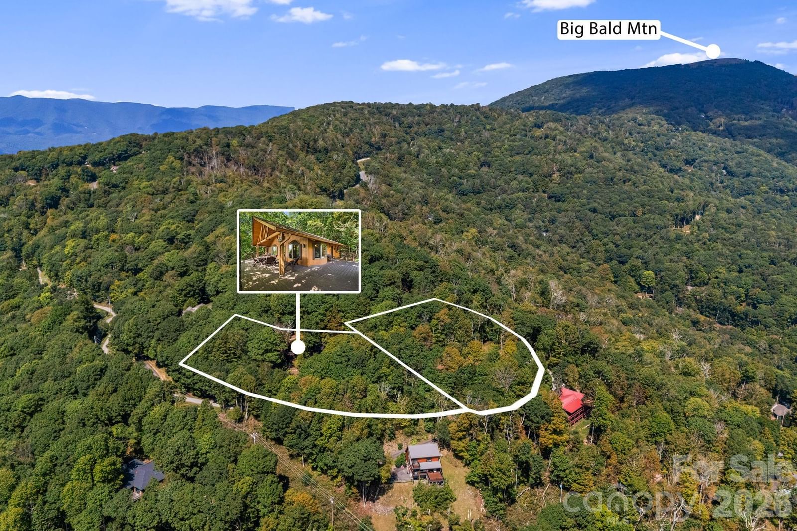 342 Granny Lewis Lane, Mars Hill, NC 28754 - Photo 2