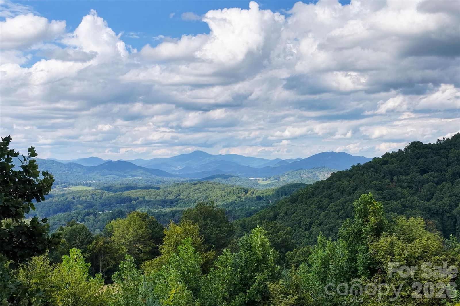 93 Lombard Street, Waynesville, NC 28786 - Photo 5