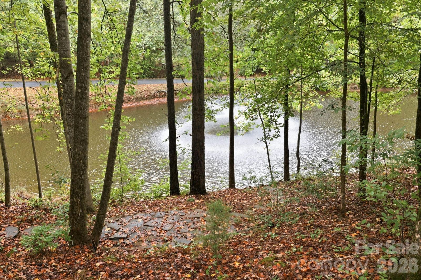 935 Woods Loop, Waxhaw, NC 28173 - Photo 5